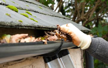 gutter cleaning Stathe, Somerset